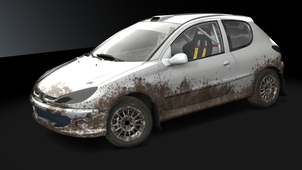b16v_peugeot_206_autocross