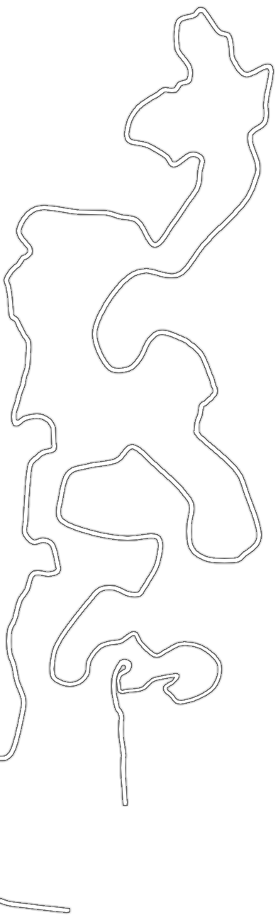 rw_dakar25_ss0